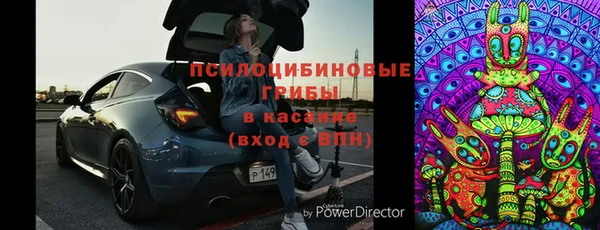 соль ск Медногорск