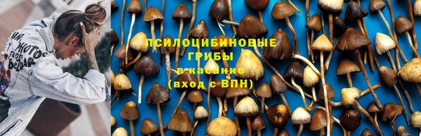 трава Магас