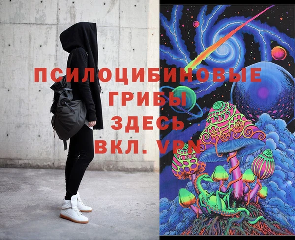 мдпв Майский
