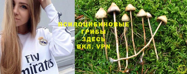 дмт Мегион