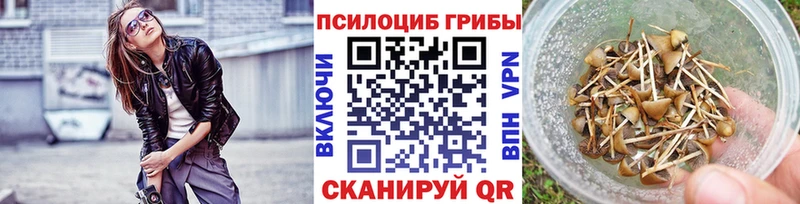 Псилоцибиновые грибы мицелий  Усмань 